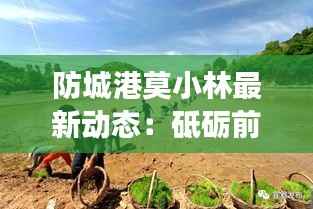 防城港莫小林最新动态:砥砺前行,绿色发展新篇章