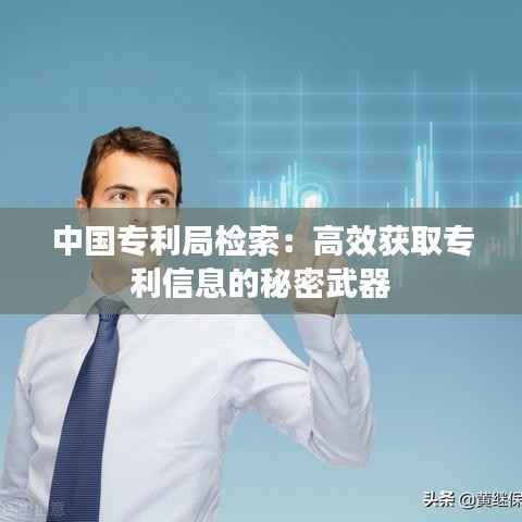 中国专利局检索:高效获取专利信息的秘密武器