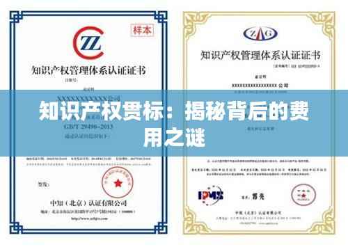 知识产权贯标:揭秘背后的费用之谜