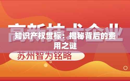 知识产权贯标:揭秘背后的费用之谜