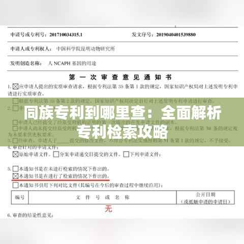 同族专利到哪里查:全面解析专利检索攻略
