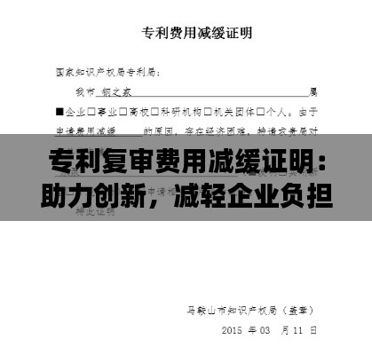 专利复审费用减缓证明:助力创新,减轻企业负担
