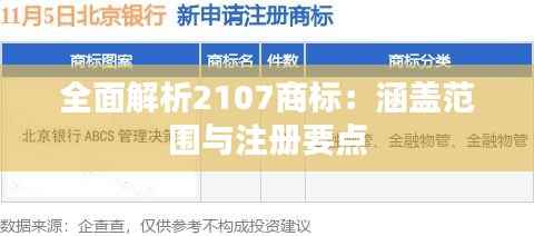 全面解析2107商标:涵盖范围与注册要点