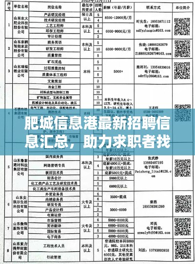 肥城信息港最新招聘信息汇总,助力求职者找到理想职位