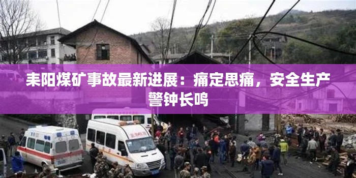 2024年12月 第59页