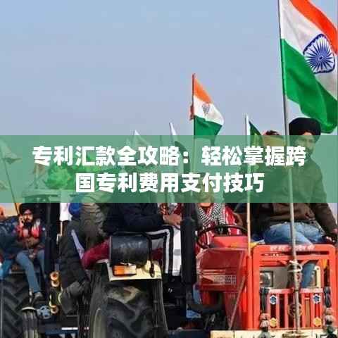 专利汇款全攻略:轻松掌握跨国专利费用支付技巧