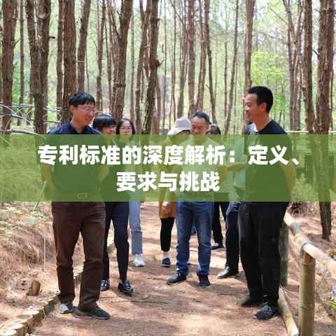 专利标准的深度解析:定义、要求与挑战