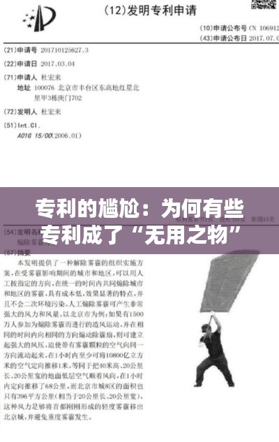 2024年12月 第53页