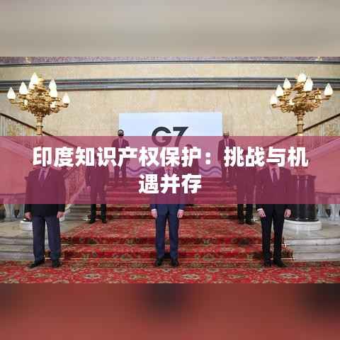 印度知识产权保护:挑战与机遇并存