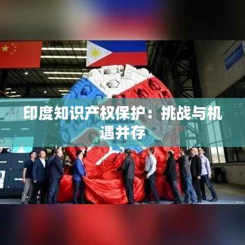 印度知识产权保护:挑战与机遇并存