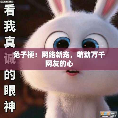 兔子梗:网络新宠,萌动万千网友的心