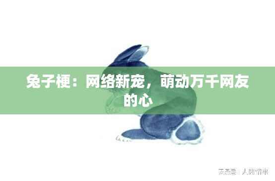 兔子梗:网络新宠,萌动万千网友的心