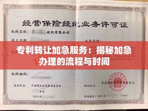 专利转让加急服务:揭秘加急办理的流程与时间