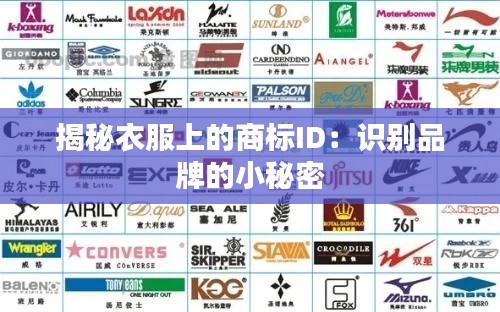 揭秘衣服上的商标ID:识别品牌的小秘密