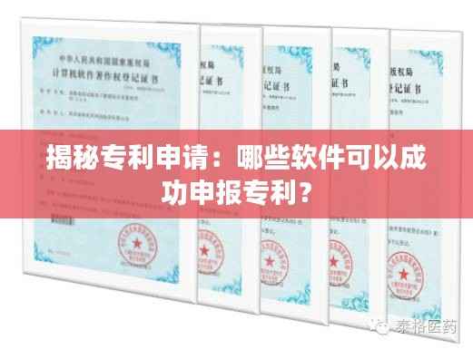 揭秘专利申请:哪些软件可以成功申报专利?