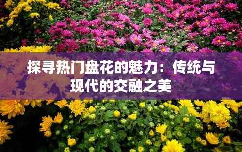 探寻热门盘花的魅力:传统与现代的交融之美