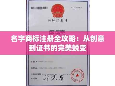 名字商标注册全攻略:从创意到证书的完美蜕变