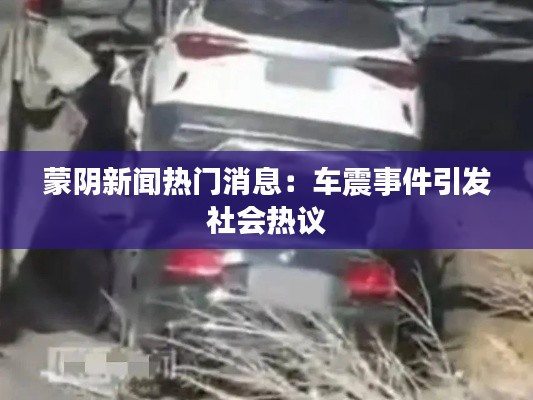 蒙阴新闻热门消息:车震事件引发社会热议