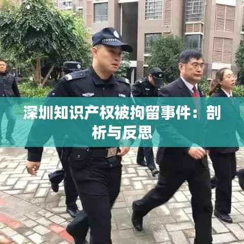深圳知识产权被拘留事件:剖析与反思
