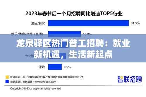 龙泉驿区热门普工招聘:就业新机遇,生活新起点