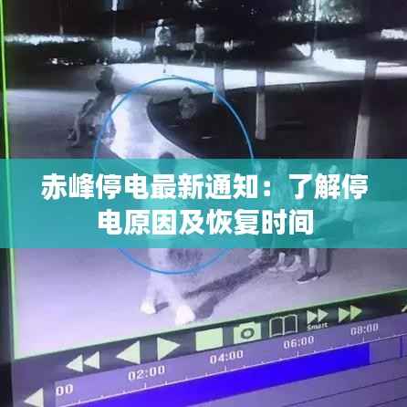 2024年12月 第31页