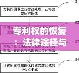 专利权的恢复:法律途径与策略分析