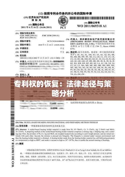 专利权的恢复:法律途径与策略分析