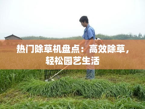 热门除草机盘点:高效除草,轻松园艺生活