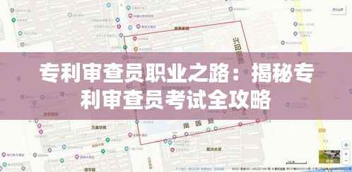 专利审查员职业之路:揭秘专利审查员考试全攻略