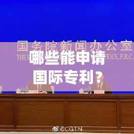哪些能申请国际专利?