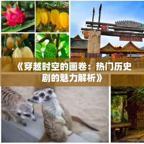 《穿越时空的画卷:热门历史剧的魅力解析》