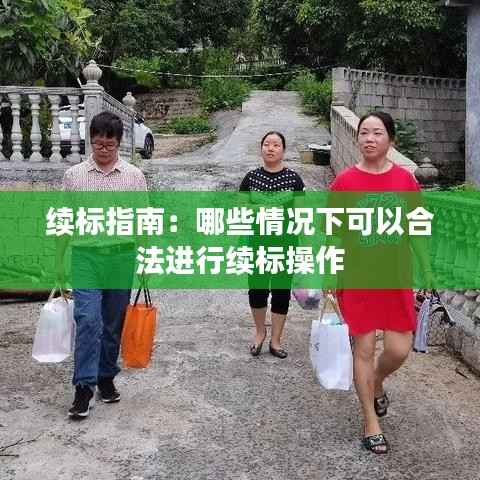 续标指南:哪些情况下可以合法进行续标操作