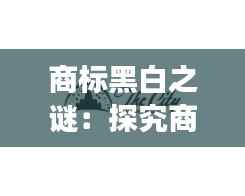 2024年12月 第24页