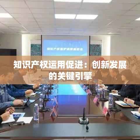 知识产权运用促进:创新发展的关键引擎