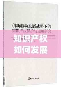 知识产权如何发展战略:创新驱动与法律保障并行