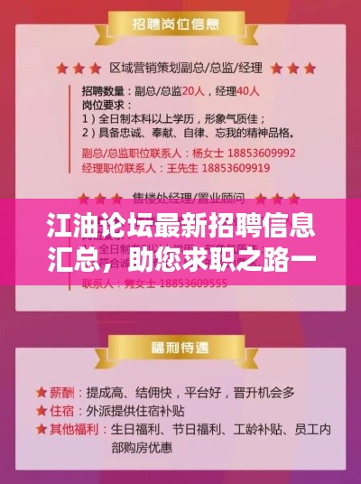 2024年12月 第21页