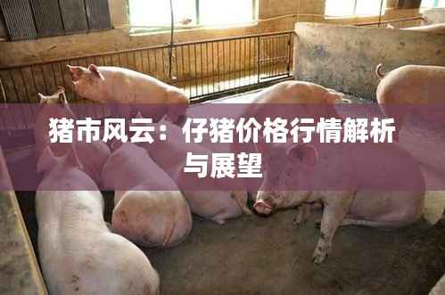 猪市风云:仔猪价格行情解析与展望
