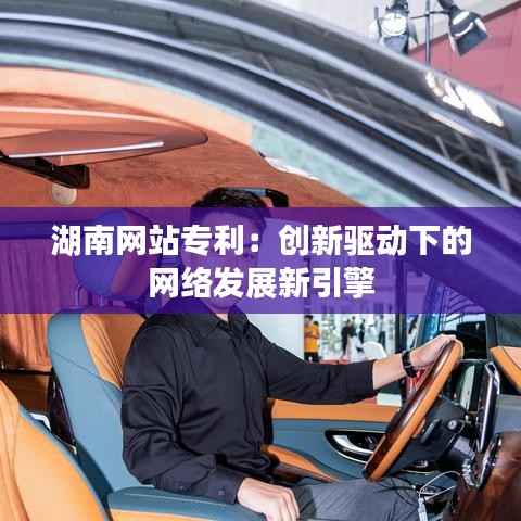 湖南网站专利:创新驱动下的网络发展新引擎