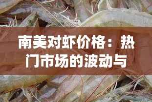 南美对虾价格:热门市场的波动与趋势