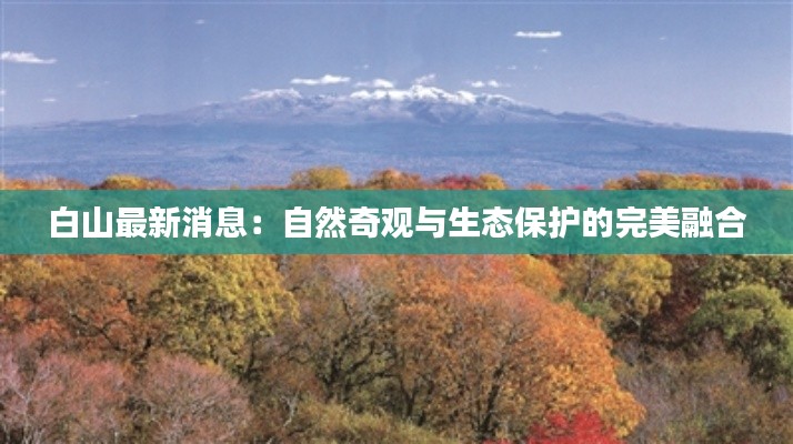 白山最新消息:自然奇观与生态保护的完美融合