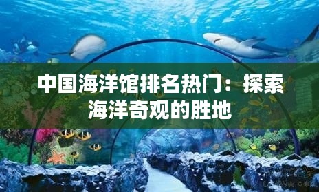 中国海洋馆排名热门:探索海洋奇观的胜地