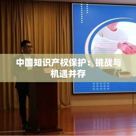 中国知识产权保护:挑战与机遇并存