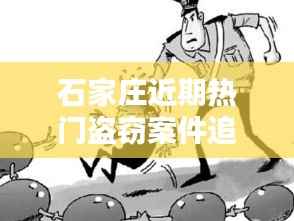 石家庄近期热门盗窃案件追踪:揭秘犯罪背后的真相