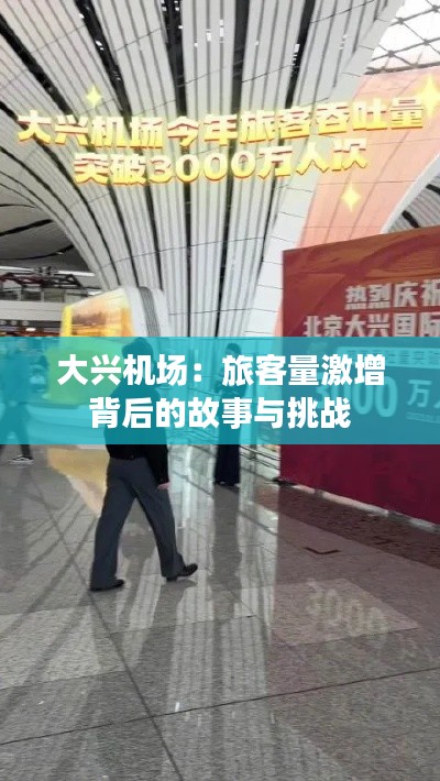 大兴机场:旅客量激增背后的故事与挑战