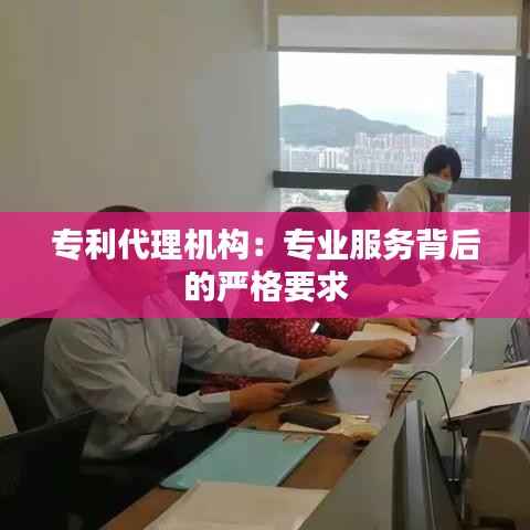 专利代理机构:专业服务背后的严格要求