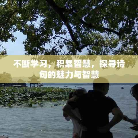 不断学习,积累智慧,探寻诗句的魅力与智慧