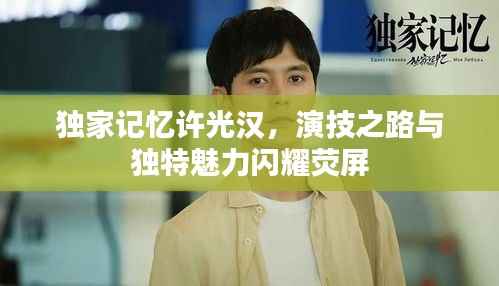 独家记忆许光汉,演技之路与独特魅力闪耀荧屏