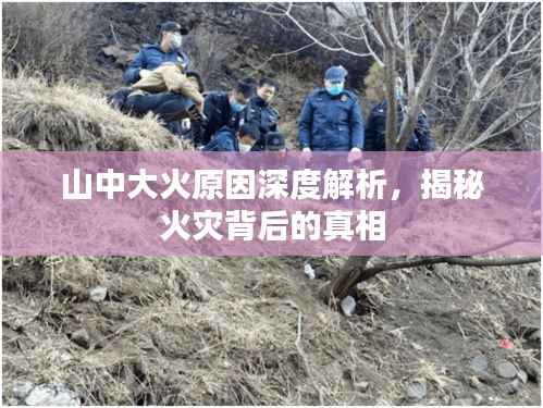 山中大火原因深度解析,揭秘火灾背后的真相