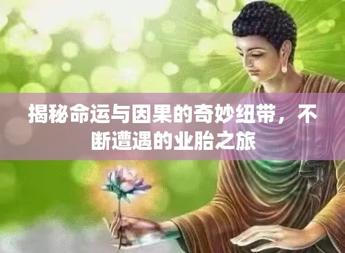 揭秘命运与因果的奇妙纽带,不断遭遇的业胎之旅