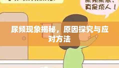 尿频现象揭秘,原因探究与应对方法